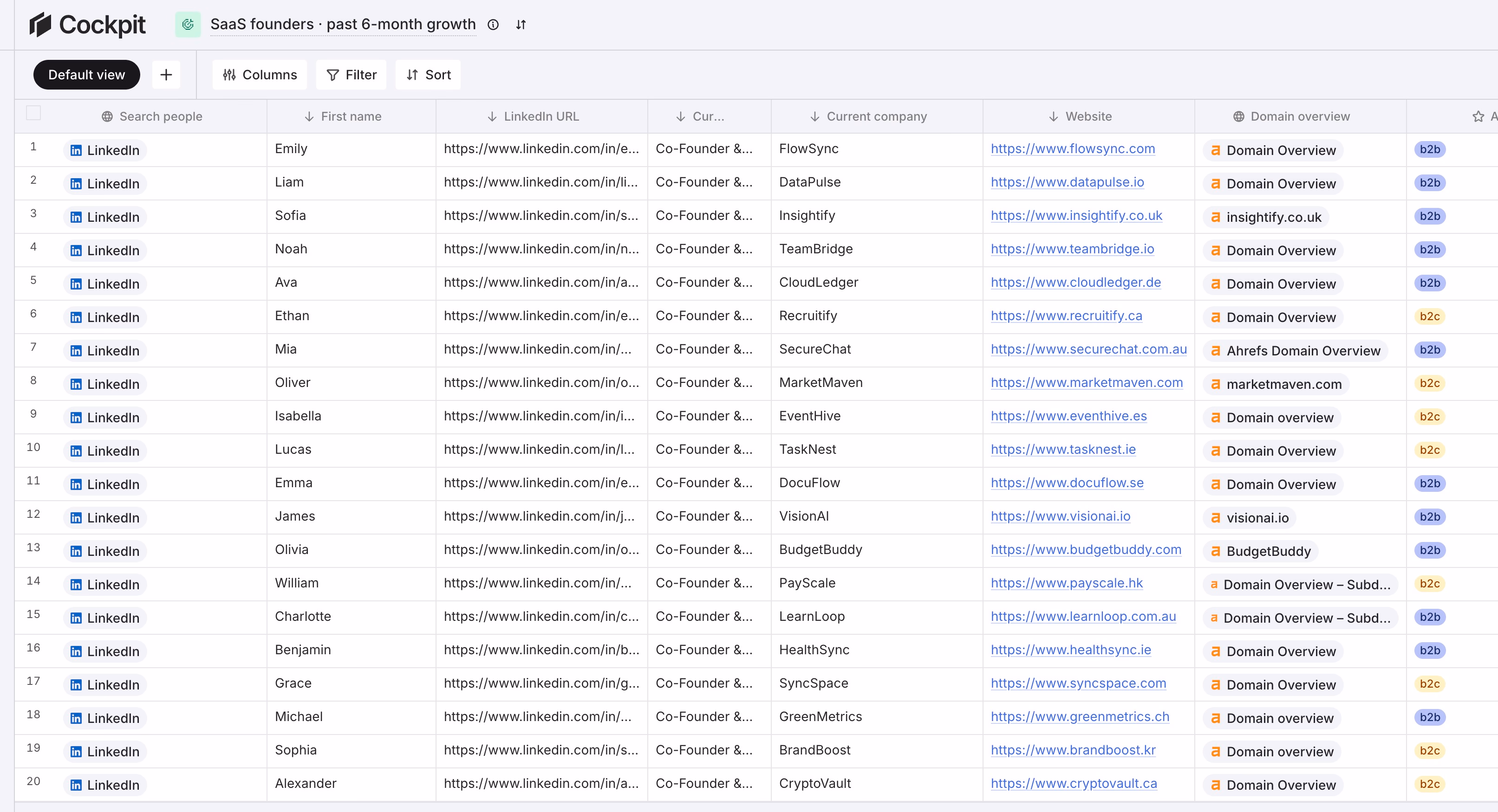 cockpit example saas founder spreadsheet